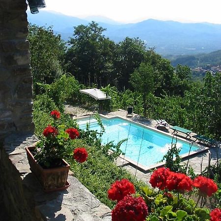 Agriturismo Saudon Mulazzo Ngoại thất bức ảnh